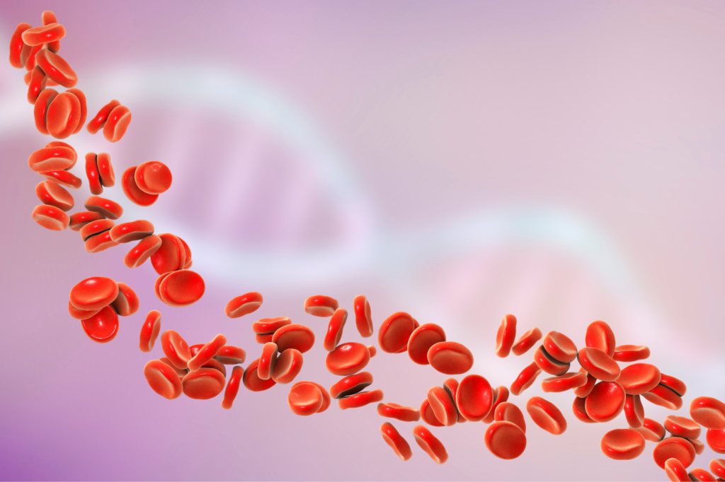 A detailed illustration of red blood cells flowing in plasma, with a soft-focus pink and purple background indicative of a medical or biological theme.